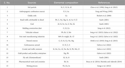 Image based analytical approaches for study of particulate matter (PM) in air